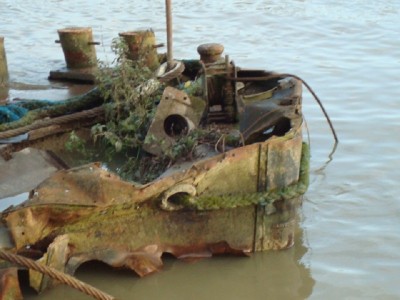 DSC02389.JPG (139.96 Kio) Vu 1281 fois DSC02389.JPG