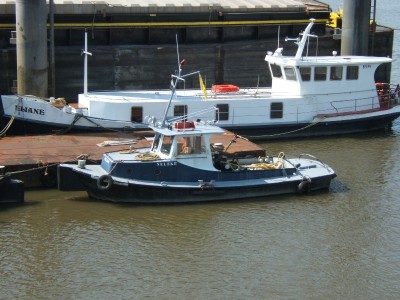 6e.jpg