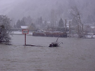 PICT1961.JPG