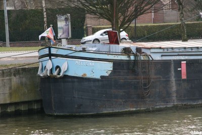 IMG_0238_1.JPG