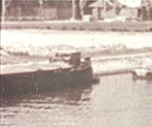 alma 3.jpg