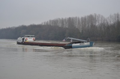 DSC_0113.jpg