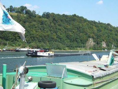 2007_0804x20013.JPG (197.48 Kio) Vu 2471 fois 2007_0804x20013.JPG