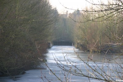 IMG_1989_1.JPG (91.36 Kio) Vu 2270 fois IMG_1989_1.JPG