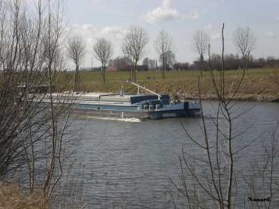 CIMG7082.JPG