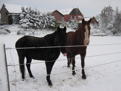 copieIMG_1674.jpg (201.26 Kio) Vu 4383 fois copieIMG_1674.jpg