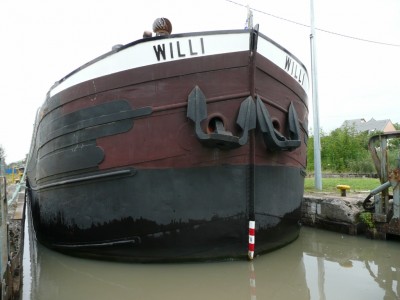 WILLY (4) [vagus].JPG