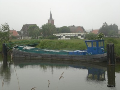 CIMG0833.JPG