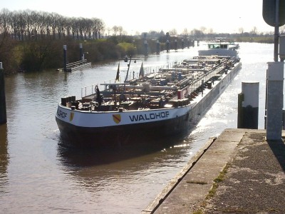 waldhof7bw.jpg