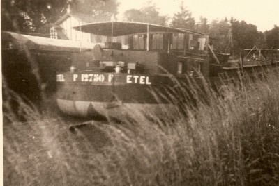 ETEL P12750F[vagus].jpg