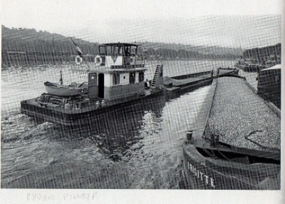 BT664-phoque.jpg (185.41 Kio) Vu 6123 fois BT664-phoque.jpg