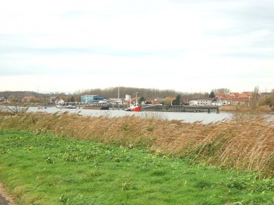 2006_1125x20025.JPG