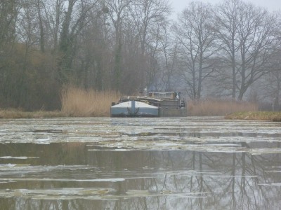 P1100632NOLISER.jpg