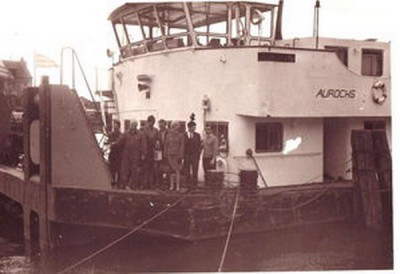 aurochs_t-1.jpg