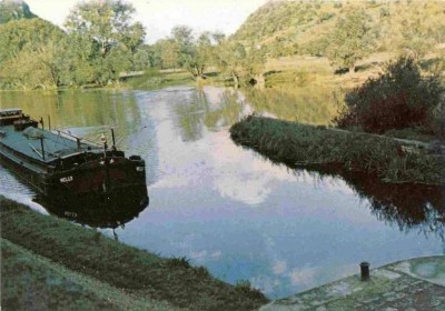 NELLY.jpg (62.38 Kio) Vu 7324 fois NELLY.jpg