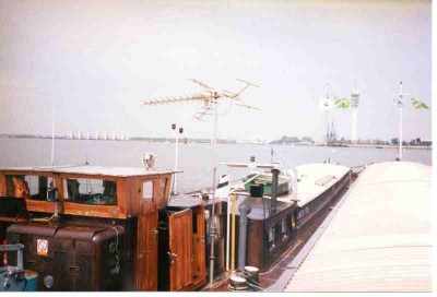 img448.jpg