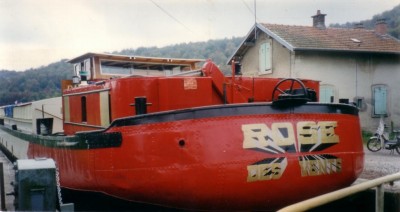 rose7.JPG