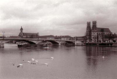 viator.JPG (122.51 Kio) Vu 4123 fois viator.JPG