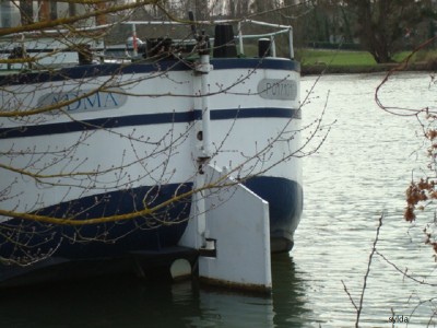 041.JPG (173.63 Kio) Vu 3953 fois 041.JPG