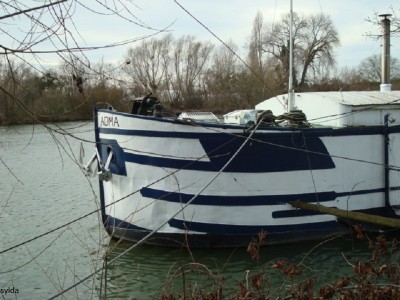 042.JPG (182.5 Kio) Vu 3957 fois 042.JPG