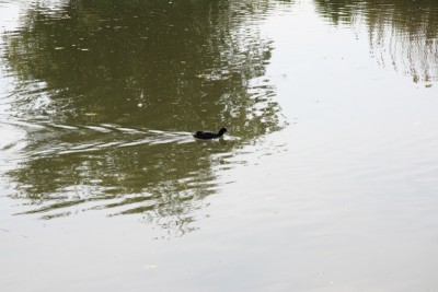 IMG_4191.JPG (189.28 Kio) Vu 1938 fois IMG_4191.JPG