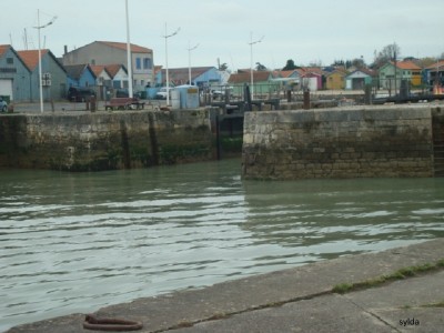 046.JPG (152.99 Kio) Vu 750 fois 046.JPG