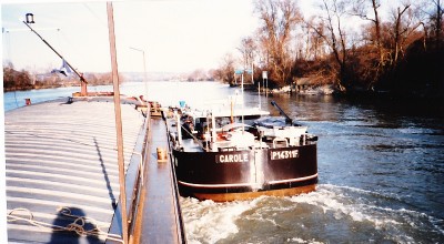 carole 1 (800x440).jpg