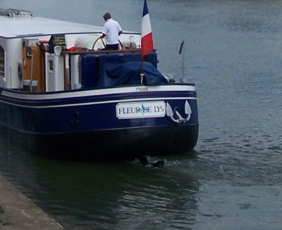 fleur de Lys 2.jpg