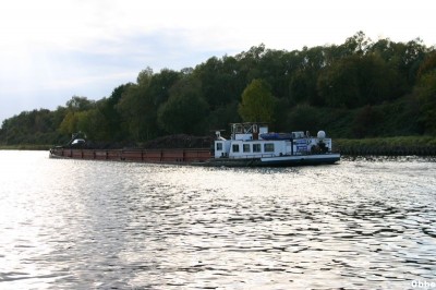 Squale 19_1.JPG (91.17 Kio) Vu 7365 fois Squale 19_1.JPG