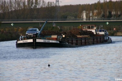 Squale 15_1.JPG (88.79 Kio) Vu 7365 fois Squale 15_1.JPG