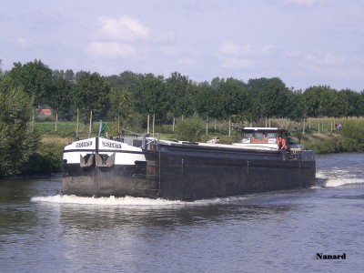 CIMG8244.JPG