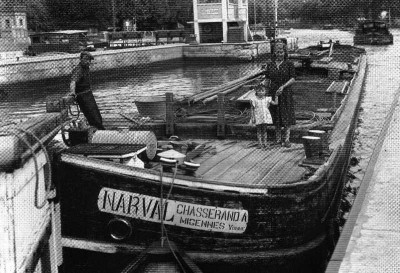 narval sauvestre .jpg (78.69 Kio) Vu 55900 fois narval sauvestre .jpg