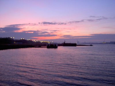 PICT2242.JPG (109.46 Kio) Vu 9143 fois PICT2242.JPG