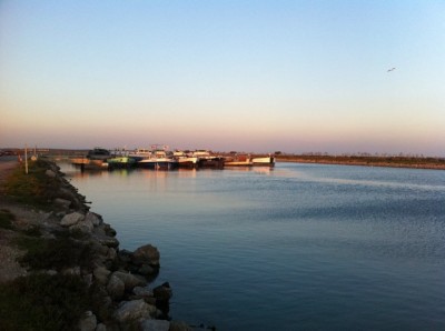 vincent 14 (720x537).jpg (56.54 Kio) Vu 2582 fois vincent 14 (720x537).jpg