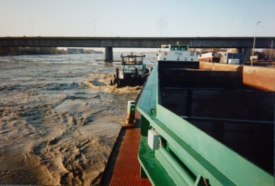 P1110815ARCTICA.JPG