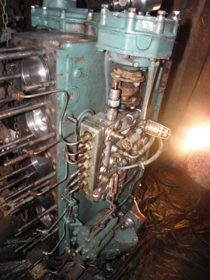 PA175254.JPG