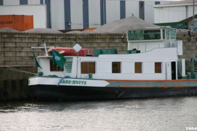 Rase Motte 02.JPG