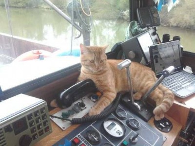 208584_1960438253089_1306796204_2401441_5746929_n.jpg (32.06 Kio) Vu 3782 fois 208584_1960438253089_1306796204_2401441_5746929_n.jpg