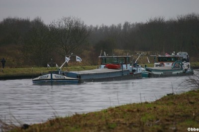 Lyp.Ver Cygne 01.JPG