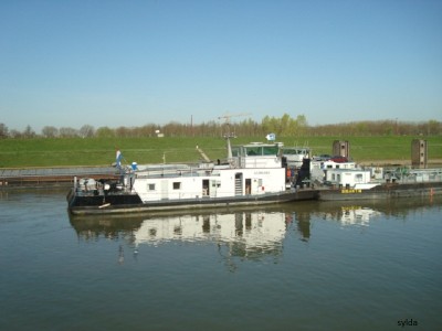 154.JPG