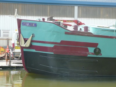 P1060181 [vagus].JPG