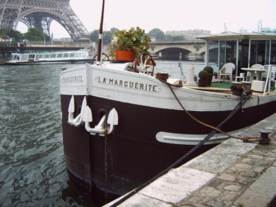 marguerite.JPG1 [].JPG