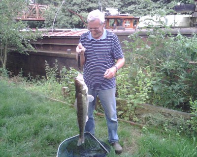 le sandre de papa 2 (800x640).jpg (466.6 Kio) Vu 5306 fois le sandre de papa 2 (800x640).jpg