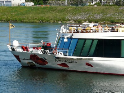 a rosa luna-nez.JPG