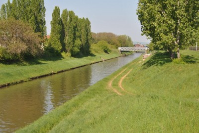DSC_0034a.jpg