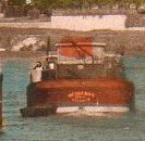 img294.jpg