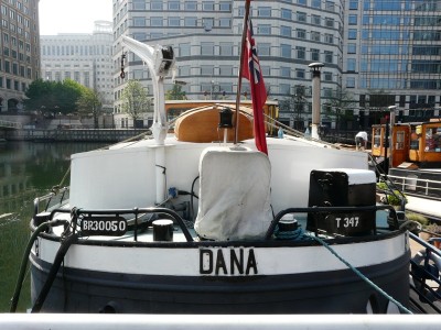 dana-ar.JPG