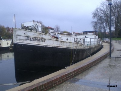 CIMG6464.JPG
