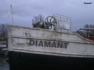 CIMG6465.JPG