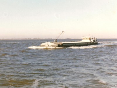 NEMESIS Zeland.jpg